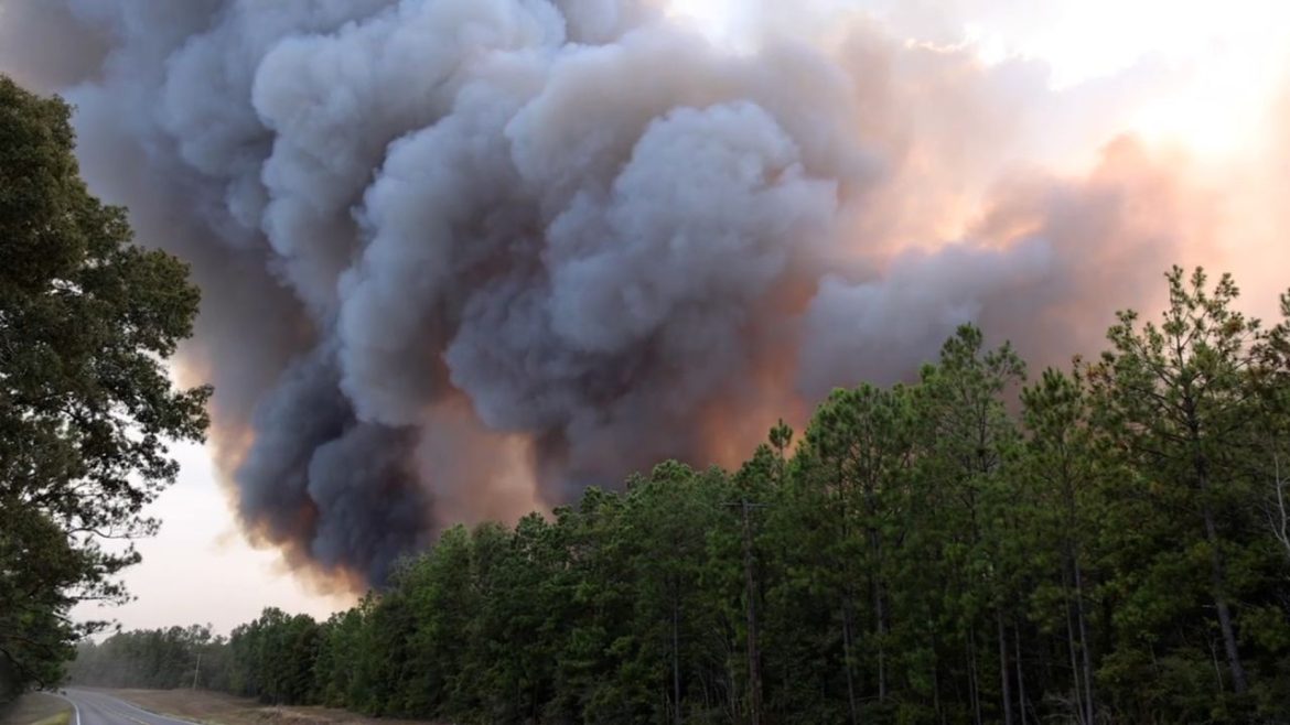 Merryville’in Tahliyesi: Yangınlar aşırı kuraklığın ortasında güneybatı Louisiana şehrini tahliye etmeye zorluyor